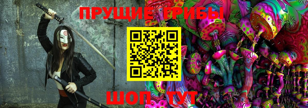 Псилоцибиновые грибы мицелий Иваново